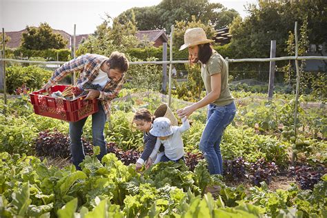 OUR GARDENS AND COMMITMENTS .